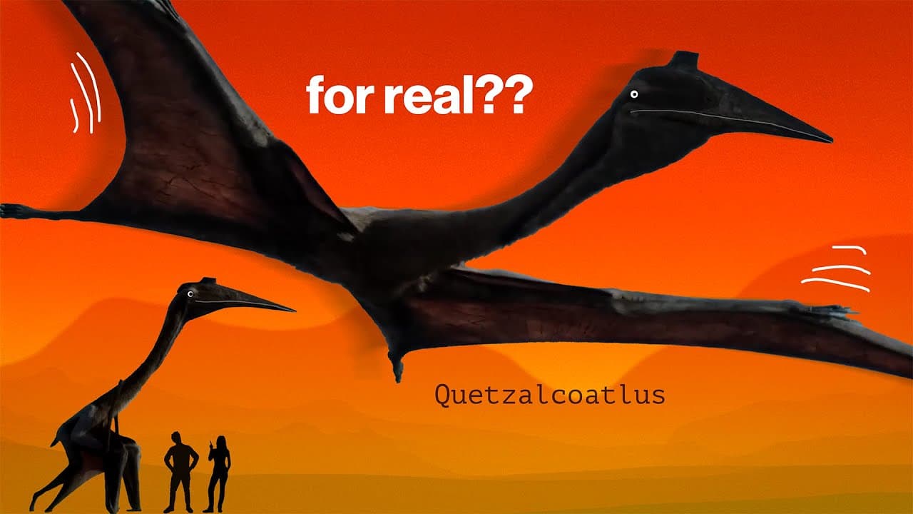 What Quetzalcoatlus was really like